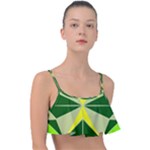 Abstract pattern geometric backgrounds   Frill Bikini Top