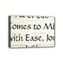 Mini Canvas 6  x 4  (Stretched) 