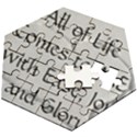 Wooden Puzzle Hexagon 