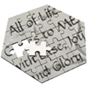 Wooden Puzzle Hexagon 