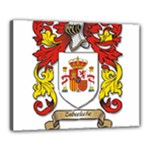 Zabaeleche Coat of Arm Canvas 20  x 16  (Stretched)