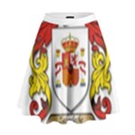 Zabaeleche Coat of Arm High Waist Skirt