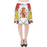 Zabaeleche Coat of Arm Velvet High Waist Skirt