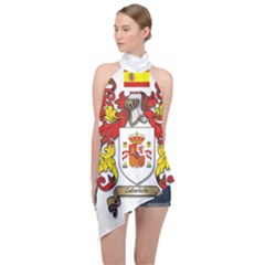 Halter Asymmetric Satin Top 