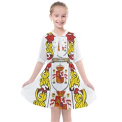 Kids  All Frills Chiffon Dress 