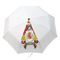 Folding Umbrella 