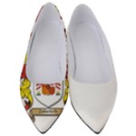 Zabaeleche Coat of Arm Women s Low Heels