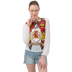 Banded Bottom Chiffon Top 