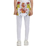 Zabaeleche Coat of Arm Kids  Skirted Pants