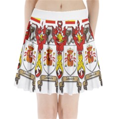 Zabaeleche Coat of Arm Pleated Mini Skirt from ArtsNow.com