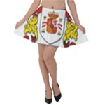 Zabaeleche Coat of Arm Velvet Skater Skirt