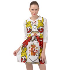 Mini Skater Shirt Dress 