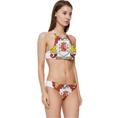 Banded Triangle Bikini Set 