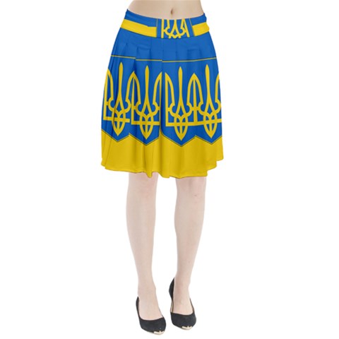 Flag of Ukraine with Coat of Arms Pleated Skirt from ArtsNow.com