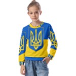 Flag of Ukraine with Coat of Arms Kids  Long Sleeve Tee with Frill 