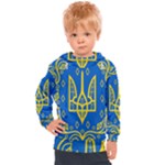 Coat of Arms of Ukraine, 1918-1920 Kids  Hooded Pullover