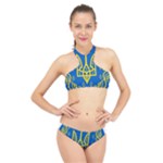 Coat of Arms of Ukraine, 1918-1920 High Neck Bikini Set