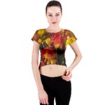 Vered-caspi-orlqbmy1om8-unsplash Crew Neck Crop Top