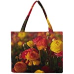 Vered-caspi-orlqbmy1om8-unsplash Mini Tote Bag