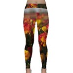 Vered-caspi-orlqbmy1om8-unsplash Classic Yoga Leggings