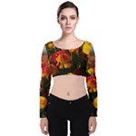 Vered-caspi-orlqbmy1om8-unsplash Velvet Long Sleeve Crop Top