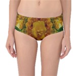 Tropical Spring Rose Flowers In A Good Mood Decorative Mid-Waist Bikini Bottoms