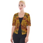 Tropical Spring Rose Flowers In A Good Mood Decorative Cropped Button Cardigan