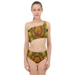 Tropical Spring Rose Flowers In A Good Mood Decorative Spliced Up Two Piece Swimsuit