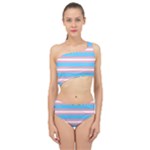 Trans Flag Stripes Spliced Up Two Piece Swimsuit