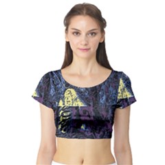 Short Sleeve Crop Top 