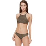 3021 Banded Triangle Bikini Set