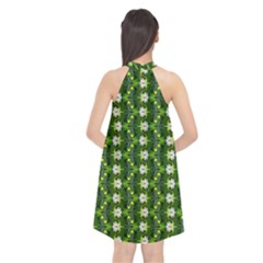Halter Neckline Chiffon Dress  