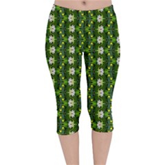 Velvet Capri Leggings  