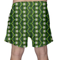 Men s Shorts 