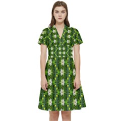Short Sleeve Waist Detail Dress 