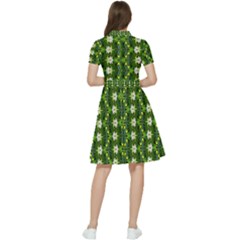 Short Sleeve Waist Detail Dress 