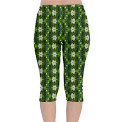 Velvet Capri Leggings  