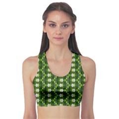 Fitness Sports Bra 
