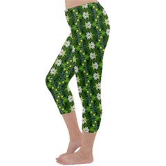 Capri Winter Leggings Back Capri Winter Leggings Back