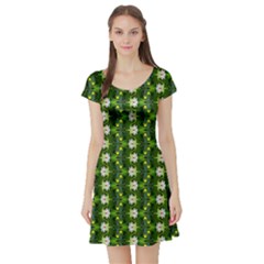 Short Sleeve Skater Dress Front Short Sleeve Skater Dress Front
