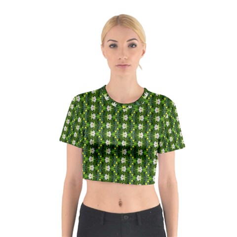 Wowpatterns