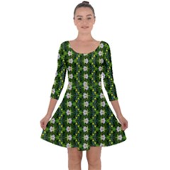 Quarter Sleeve Skater Dress 
