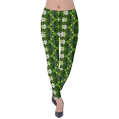 Velvet Leggings Front Velvet Leggings Front