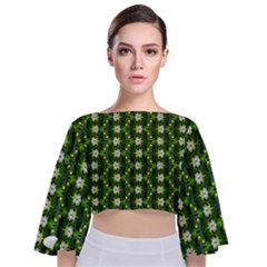 Tie Back Butterfly Sleeve Chiffon Top 