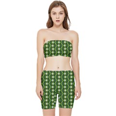 Stretch Shorts and Tube Top Set 