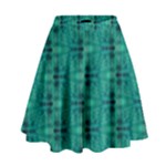 Peacock #4 High Waist Skirt