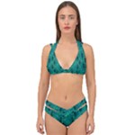 Peacock #4 Double Strap Halter Bikini Set