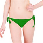 Thieves (2) Bikini Bottom
