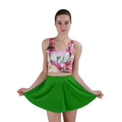 Mini Skirt Skirt Front Mini Skirt Skirt Front