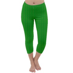 Capri Winter Leggings Front Capri Winter Leggings Front
